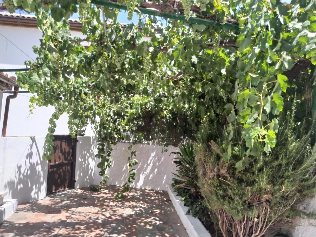 הוילה מונטפריו La Casa Del Ingles מראה חיצוני תמונה
